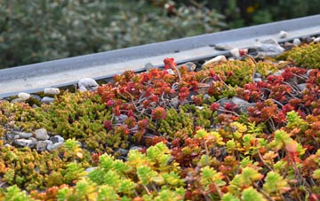 the cost of Thomas Chapel green roof installation