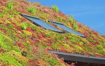 Thomas Chapel living roof systems