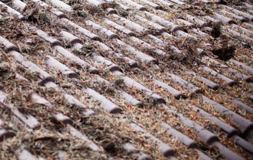 Thomas Chapel roof cleaning companies