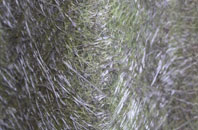 Thomas Chapel fibreglass roof work